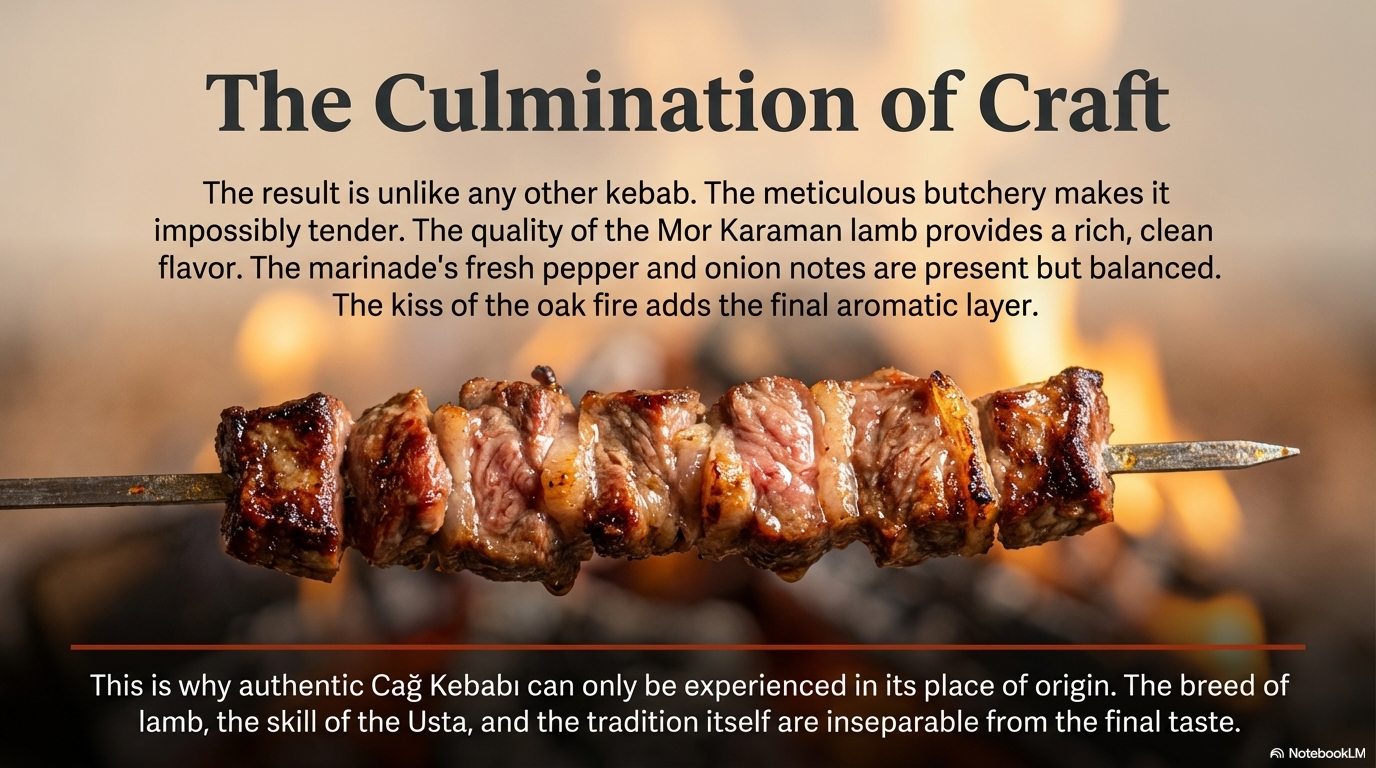 Cag Kebabi visual note 12