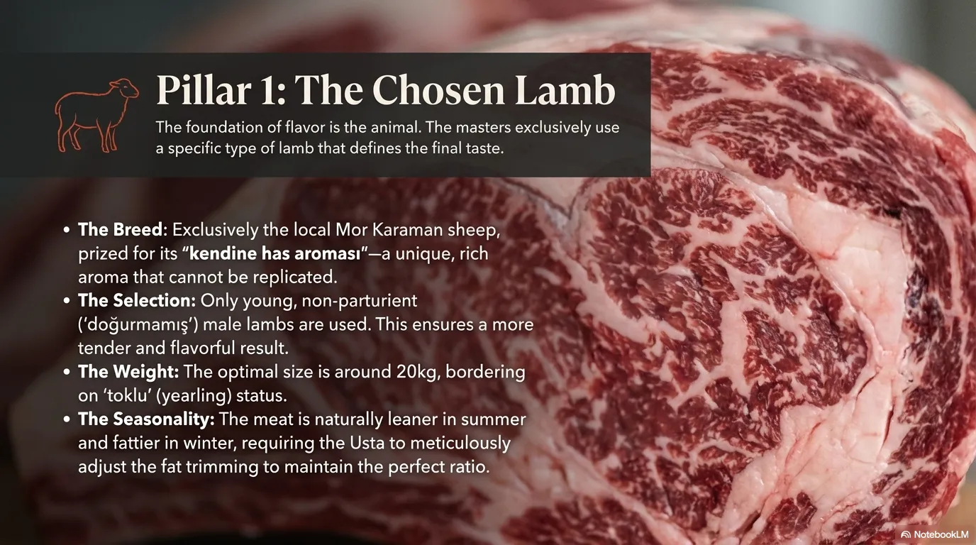 Cag Kebabi — Pillar 1: The Chosen Lamb The foundation of flavor is the animal